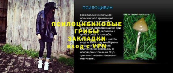 герыч Бронницы