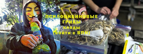 герыч Бронницы