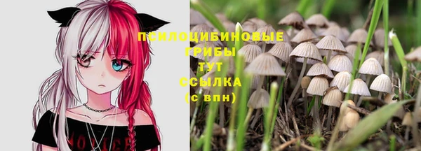 индика Строитель